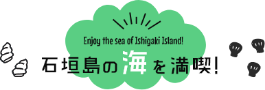 石垣島の海を満喫!
