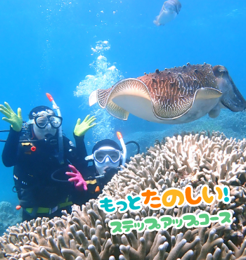 PADIアドバンスドオープンウォーター2日間