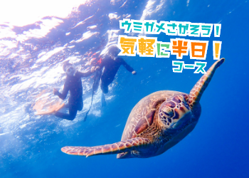 幻の島ツアー