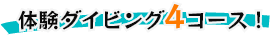 体験ダイビング半日