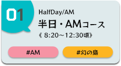 幻の島上陸半日