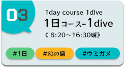 ウミガメ探し半日