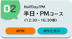 幻の島上陸1日