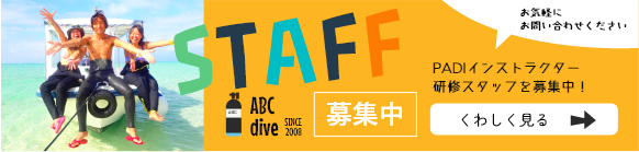 スタッフ募集