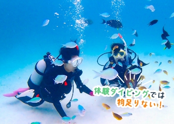 PADIスクーバ・ダイバーコース