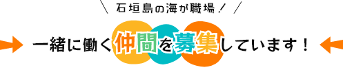 スタッフ募集