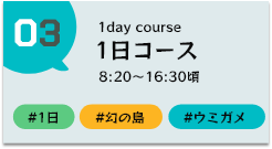 幻の島上陸1日