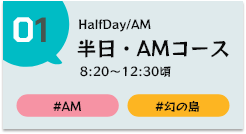 幻の島上陸半日