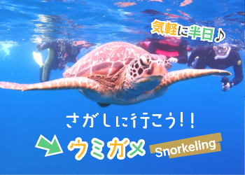ウミガメシュノーケリングツアー