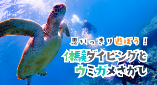 《1日》石垣島海満喫パック