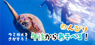 《半日》ウミガメシュノーケル