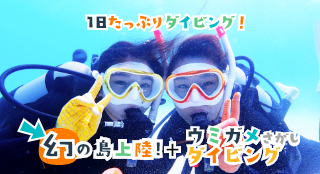 幻の島ウミガメ体験ダイビング