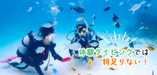 PADIスクーバダイバー